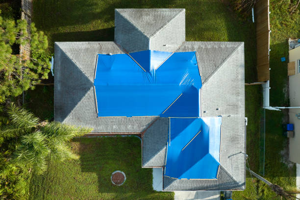 Best Roof Maintenance and Cleaning  in Florence, TX
